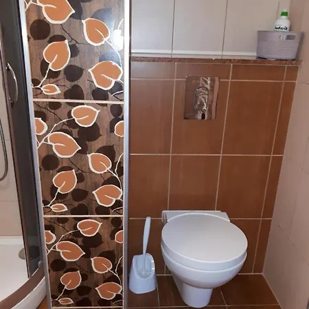 Willa Wiśniowa Góra Stara Kamienica