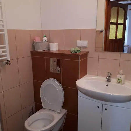 Willa Wiśniowa Góra *
