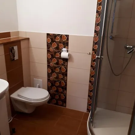 Willa Wiśniowa Góra Stara Kamienica
